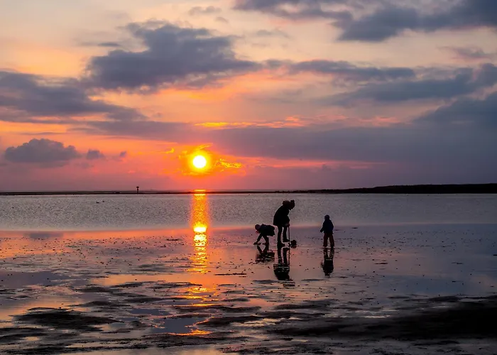 Opi Huck Stroot 41 * دورم نيوفيلد