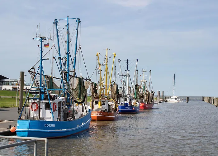 Opi Huck Stroot 41 دورم نيوفيلد