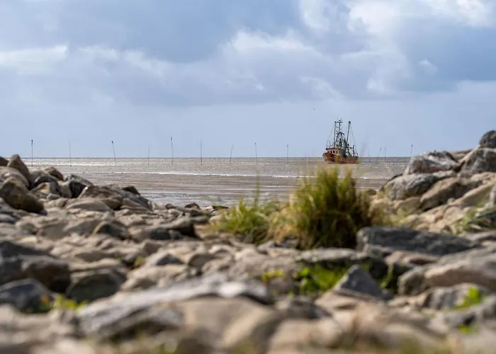 Opi Huck Stroot 41 * دورم نيوفيلد